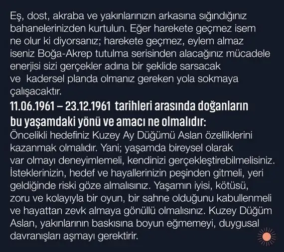 tutulmalar 1961 (8).webp