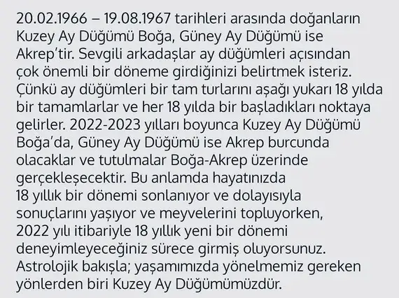 tutulmalar 1966 (2).webp