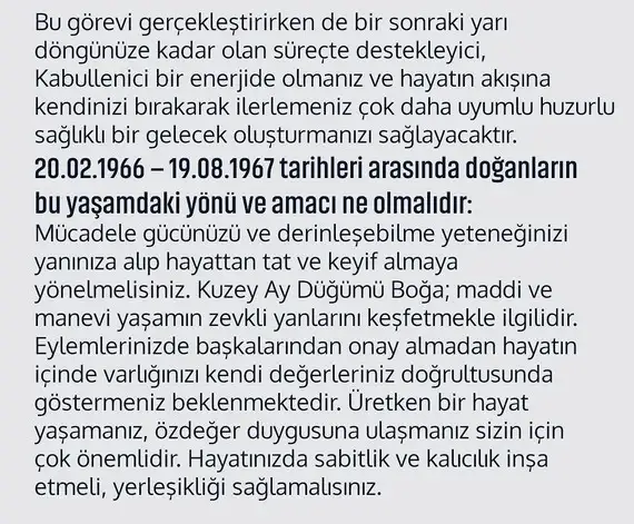 tutulmalar 1966 (6).webp