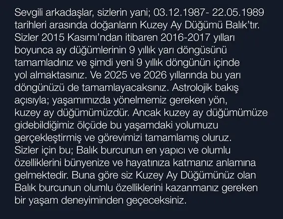 tutulmalar 1987 (2).webp