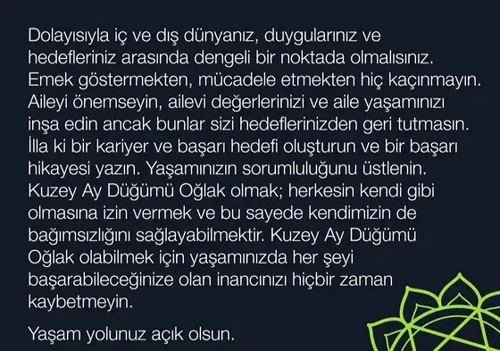 tutulmalar 1990 (7).webp