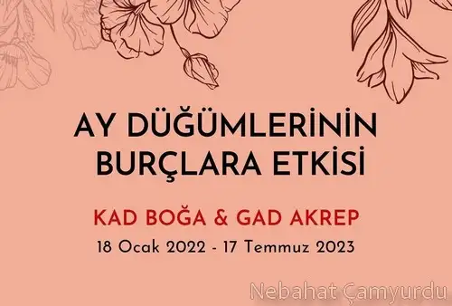 tutulmalar 20 (1).webp