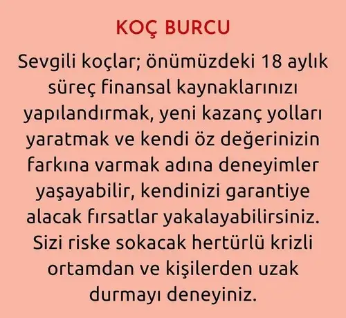 tutulmalar 20 (2).webp
