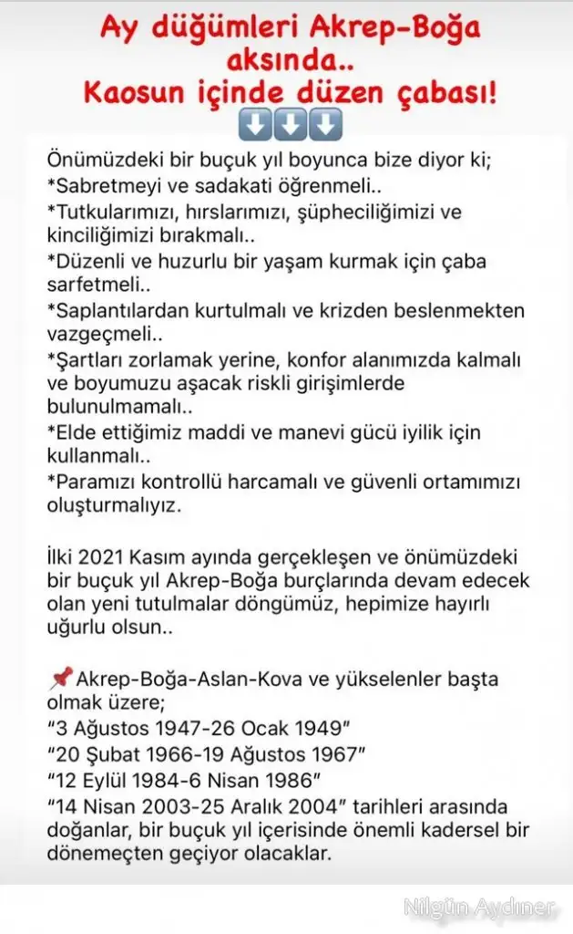 tutulmalar 3.webp