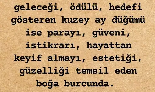 tutulmalar 31 (3).webp