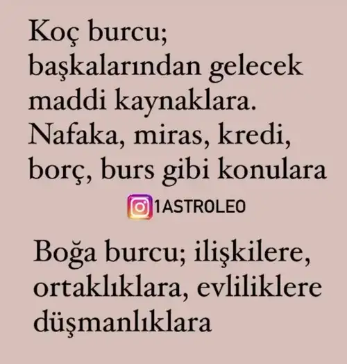 tutulmalar 32 (2).webp