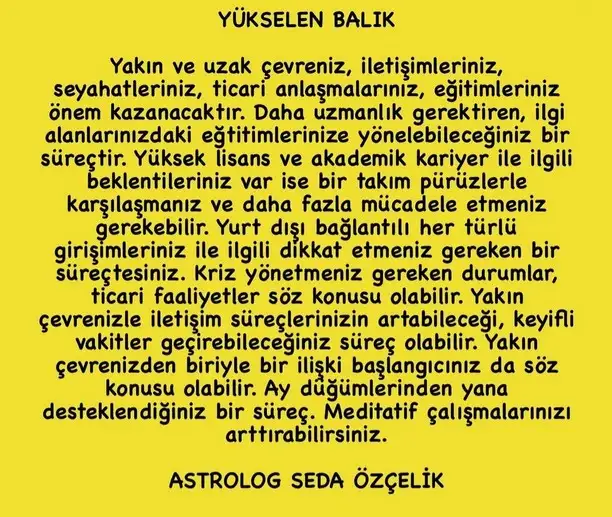 tutulmalar 33 (13).webp