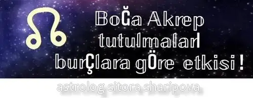 tutulmalar 34 (1).webp