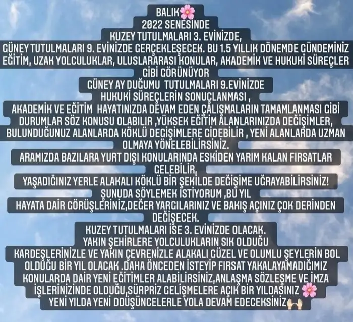 tutulmalar 34 (13).webp
