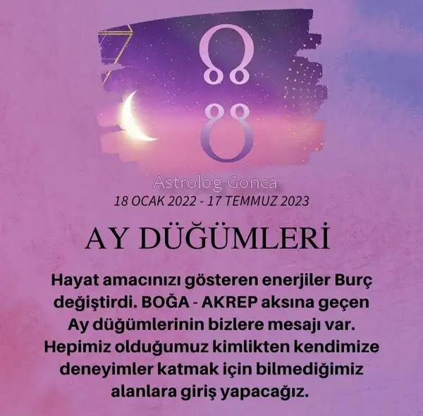 tutulmalar 35 (1).webp