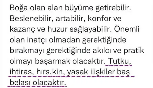 tutulmalar 39 (5).webp