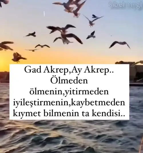 tutulmalar 40.webp