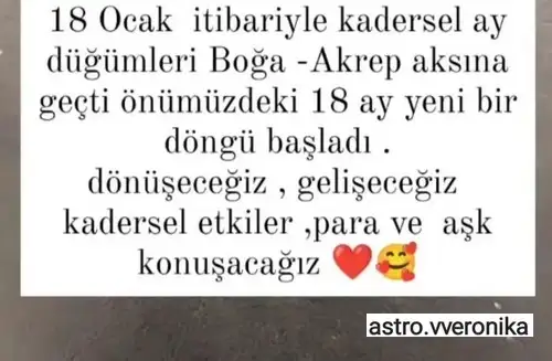 tutulmalar 41.webp