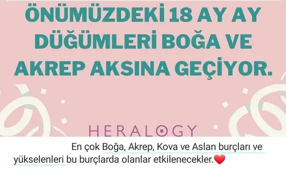 tutulmalar 42.webp