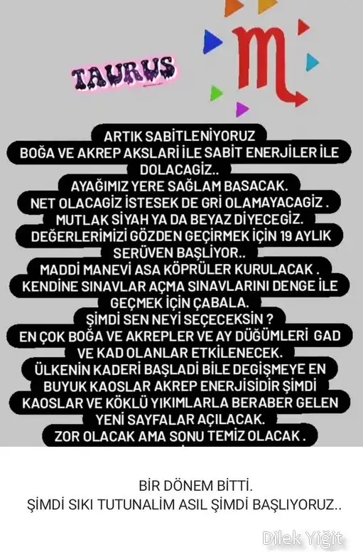 tutulmalar 43.webp