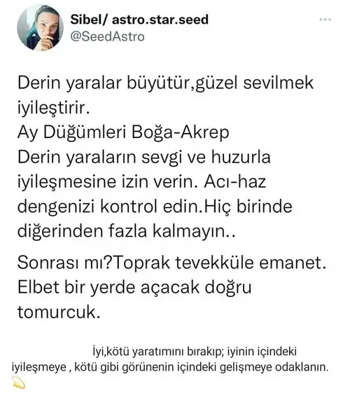 tutulmalar 44.webp