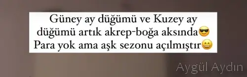 tutulmalar 52.webp