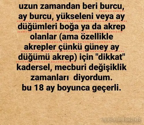tutulmalar 55.webp