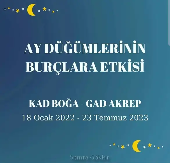 tutulmalar 61 (1).webp
