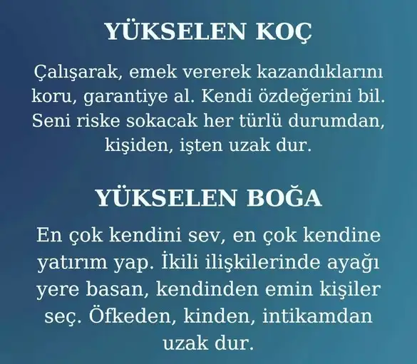 tutulmalar 61 (2).webp
