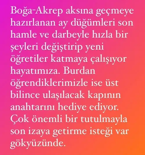 tutulmalar sibel myg (3).webp