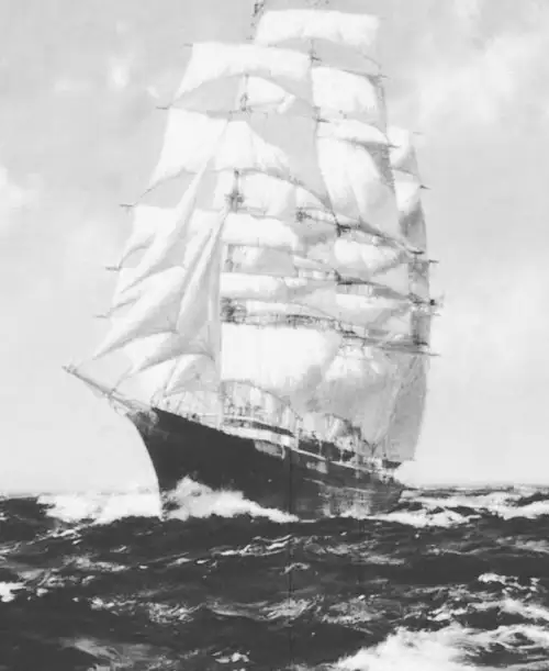 tutulmalar1 (1).jpg