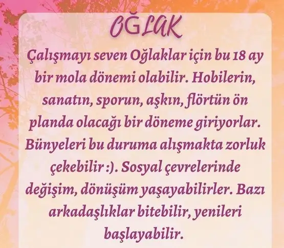 tutulmalar60 (11).webp