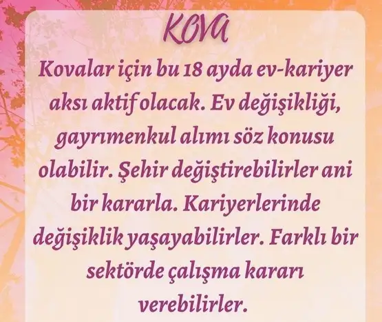 tutulmalar60 (12).webp