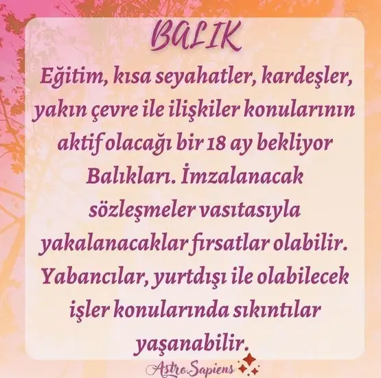 tutulmalar60 (13).webp