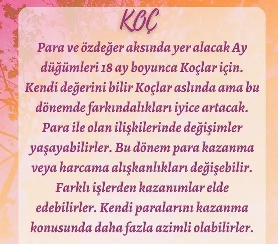 tutulmalar60 (2).webp