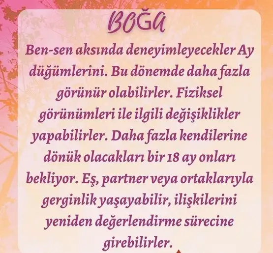 tutulmalar60 (3).webp