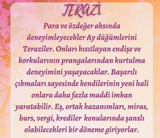 tutulmalar60 (8).webp