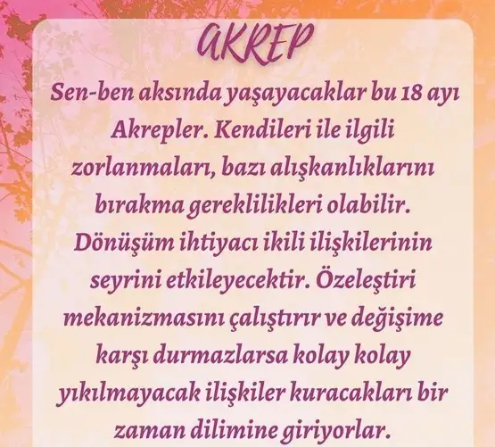 tutulmalar60 (9).webp