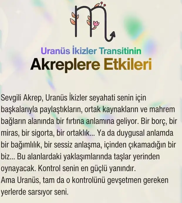 u20 (17).webp
