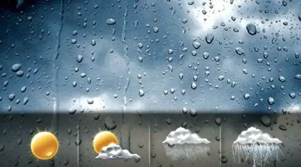 untitled.webp