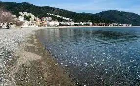 untitled.webp
