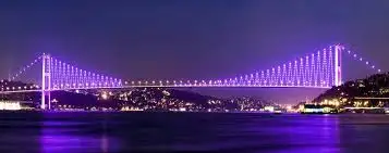 untitled.webp