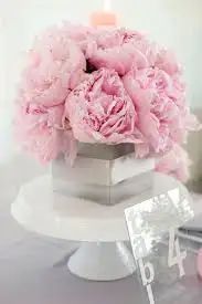 untitled.webp