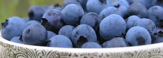 Unutkanlığa-İyi-Gelen-Yiyecekler.webp