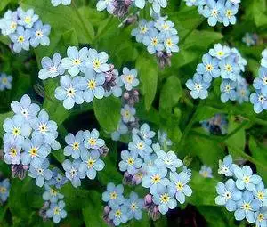 unutmabeni1.webp