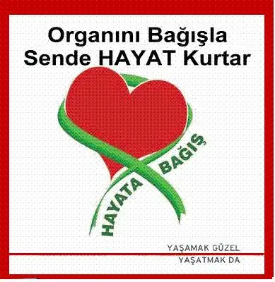 upload151.webp