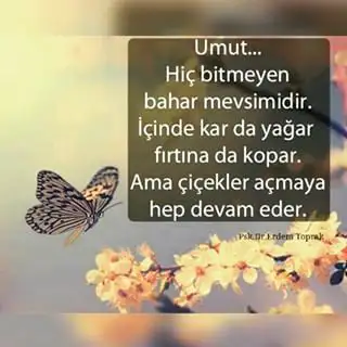 upload_2015-10-2_6-44-1.webp