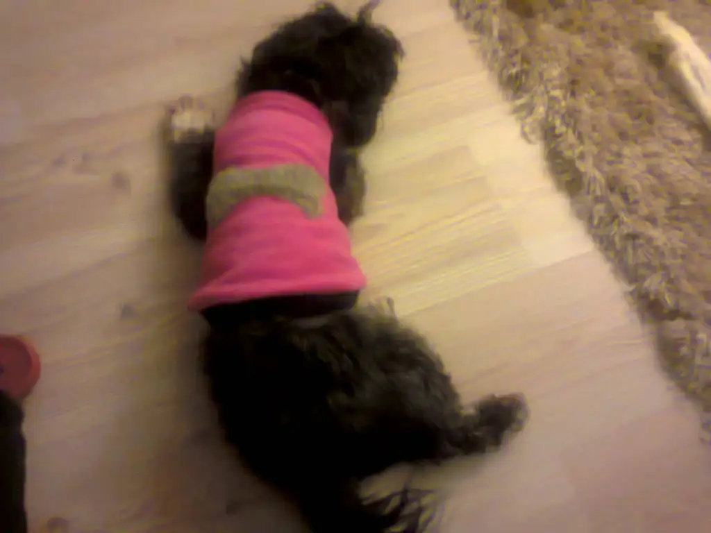 upload_2015-4-3_17-12-9.webp