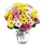 upload_2016-2-8_1-20-14.webp