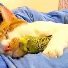 upload_2017-12-14_13-16-36.webp