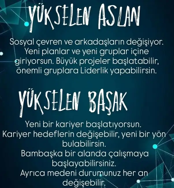 urikk8765 (4).webp