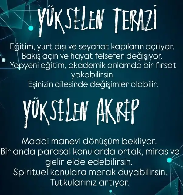urikk8765 (5).webp