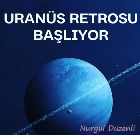 uu (1).webp