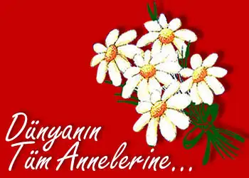 uueauaueaeae-1431115453.webp