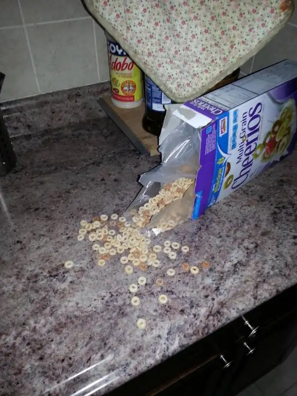 uykusunda_36_kilo_aldi_(5)_503583544542a7934771bf.webp